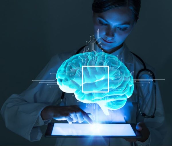 female scientist working on a model of the brain